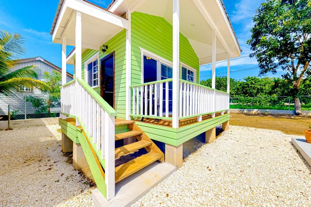 Kiara at Hummingbird Estate Gold Standard Certified - Estudio