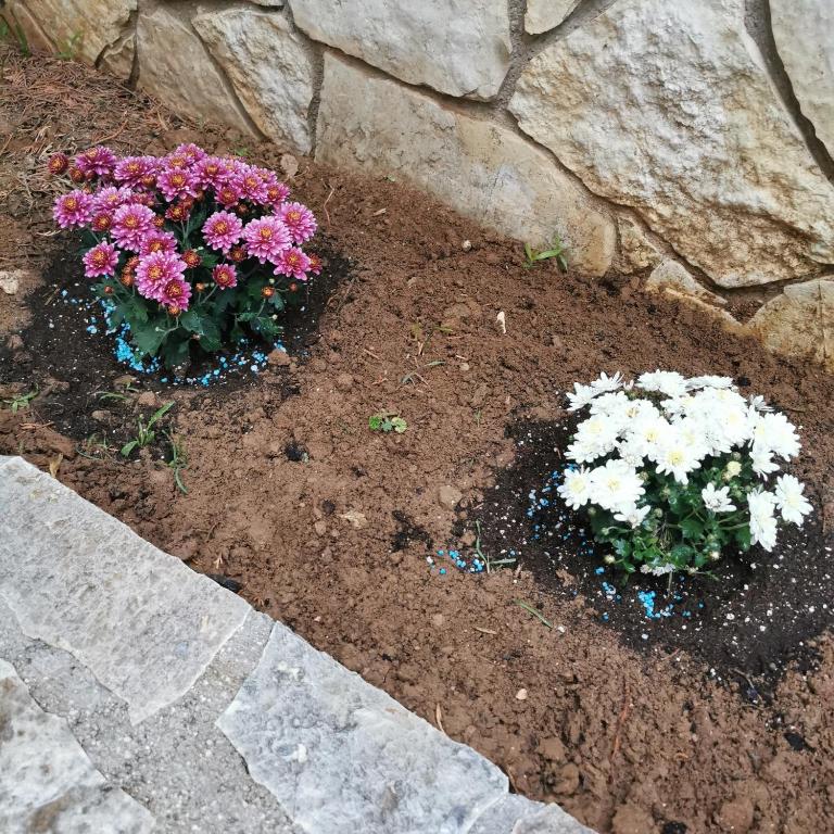 Vonkajšia záhrada v ubytovaní Βίλα Αμαλία Ναύπλιο