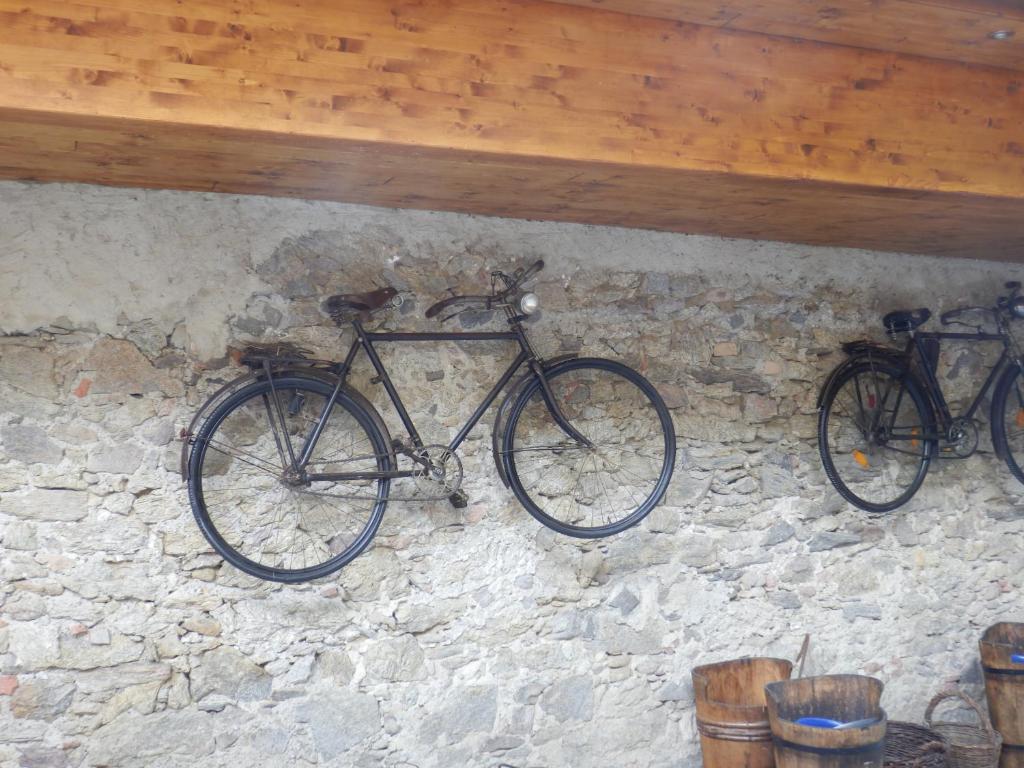 Jazda na bicykli v okolí ubytovania Heritage Dürnstein