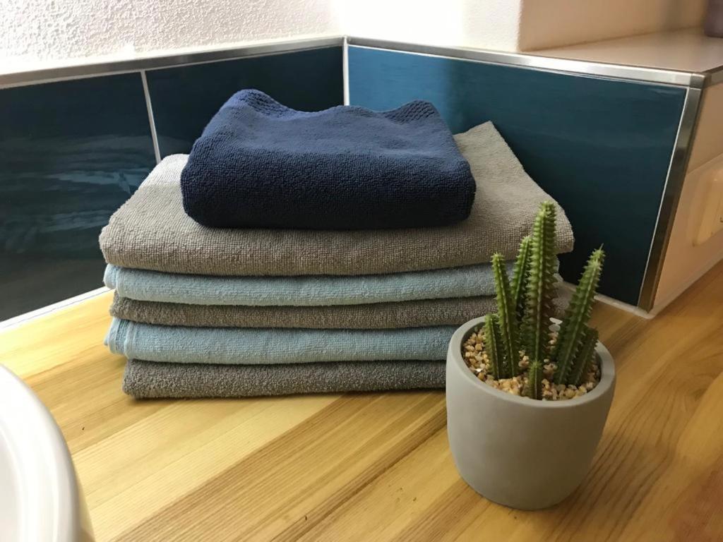 a stack of towels and a plant on a floor at Ferienwohnung Kieslich in Habrachćicy