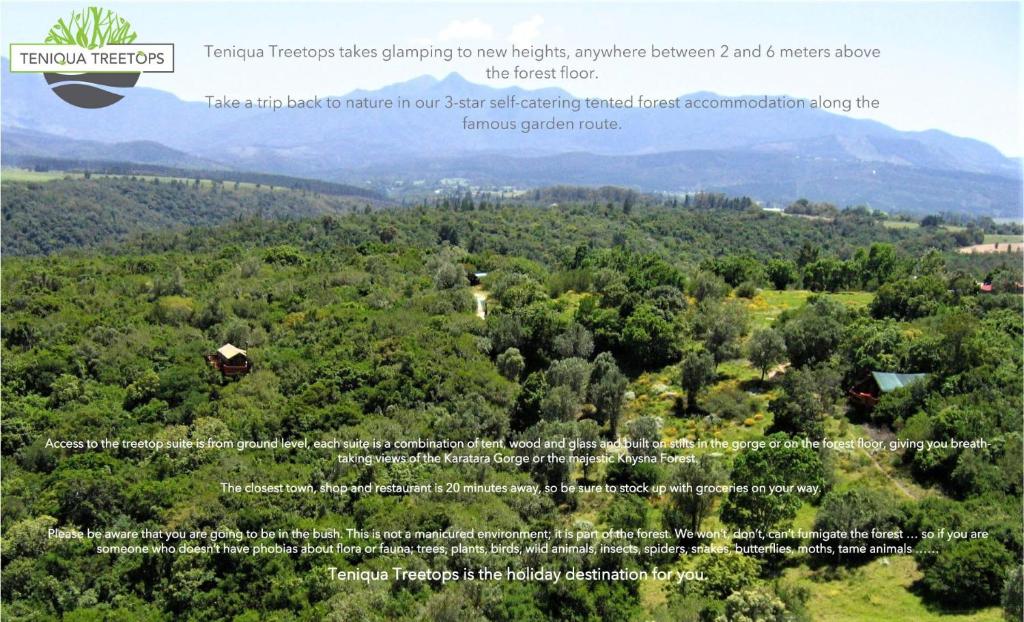 
an aerial view of a mountain range at Teniqua Treetops in Karatara Settlement

