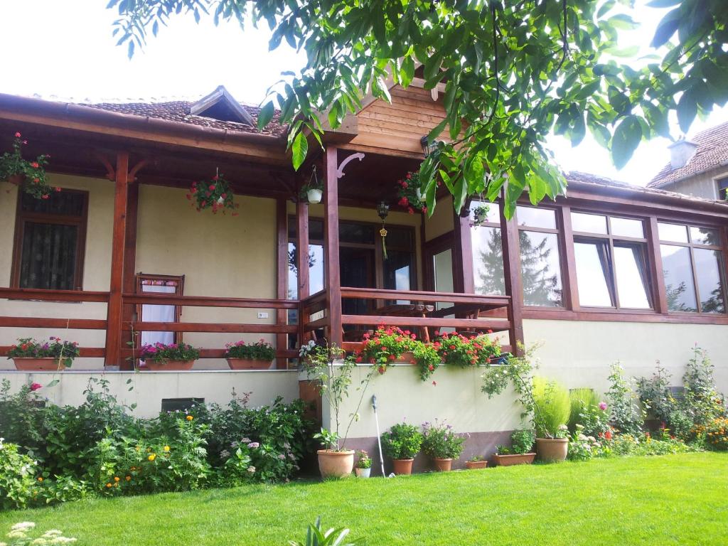 a house with potted plants on the front of it at Casa Marius in Braşov