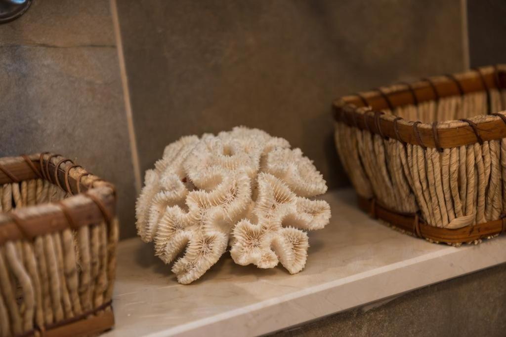 Apartment & Room Lady O - 7