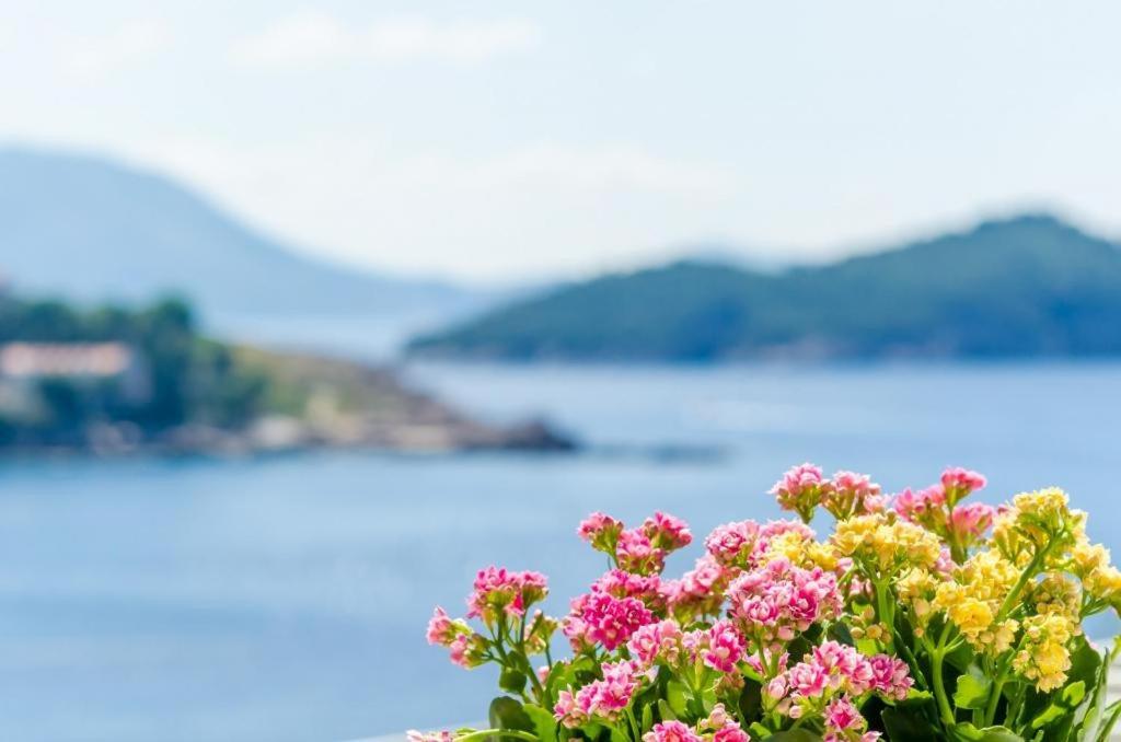 Apartment & Room Lady O - 11