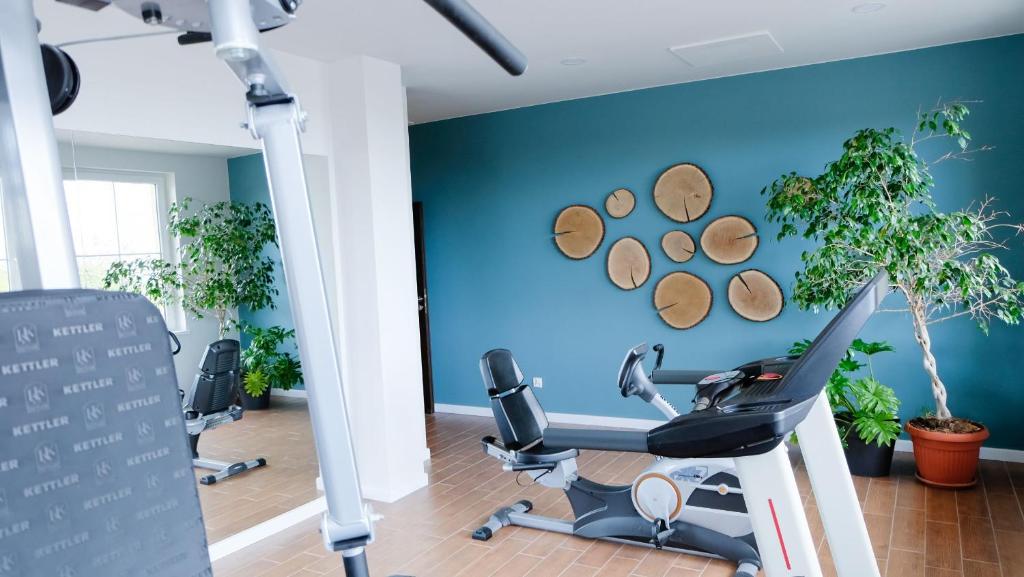 Fitness centrum a/nebo fitness zařízení v ubytování Hotel Rezydencja AS & Spa-Najwyżej w Karpaczu