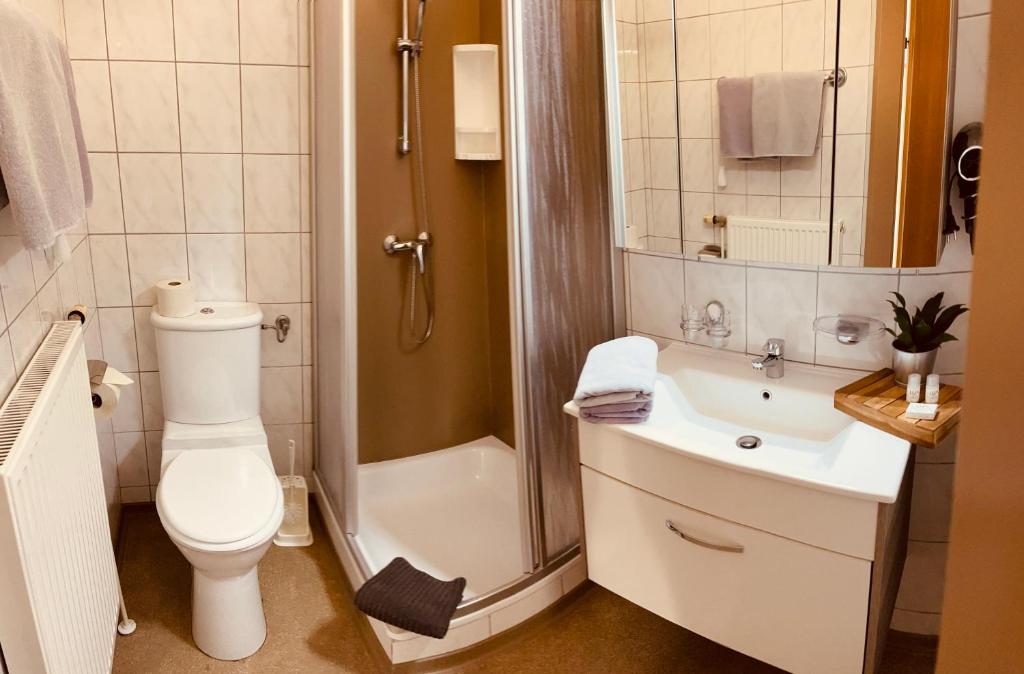 łazienka z toaletą, umywalką i prysznicem w obiekcie Gästehaus Auer Fritzi w mieście Jois