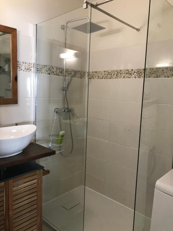 Koupelna v ubytování APPARTEMENT COLIBRI , Les Anses d 'Arlet