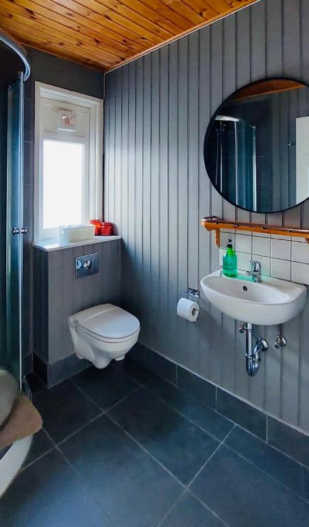 a bathroom with a toilet and a sink and a mirror at Langahlid Cottages & Hot Tubs in Seyðisfjörður