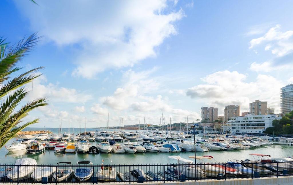 Príroda v okolí apartmánu
