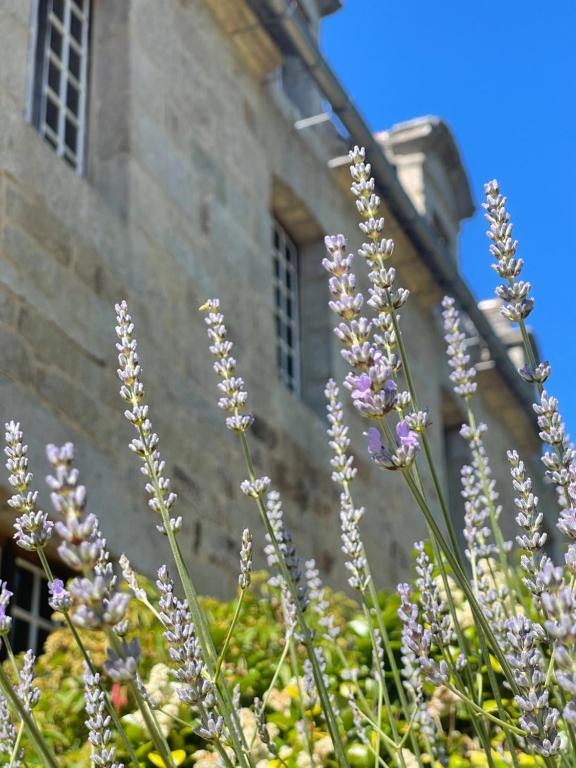 Zahrada ubytování Manoir de l'Isle