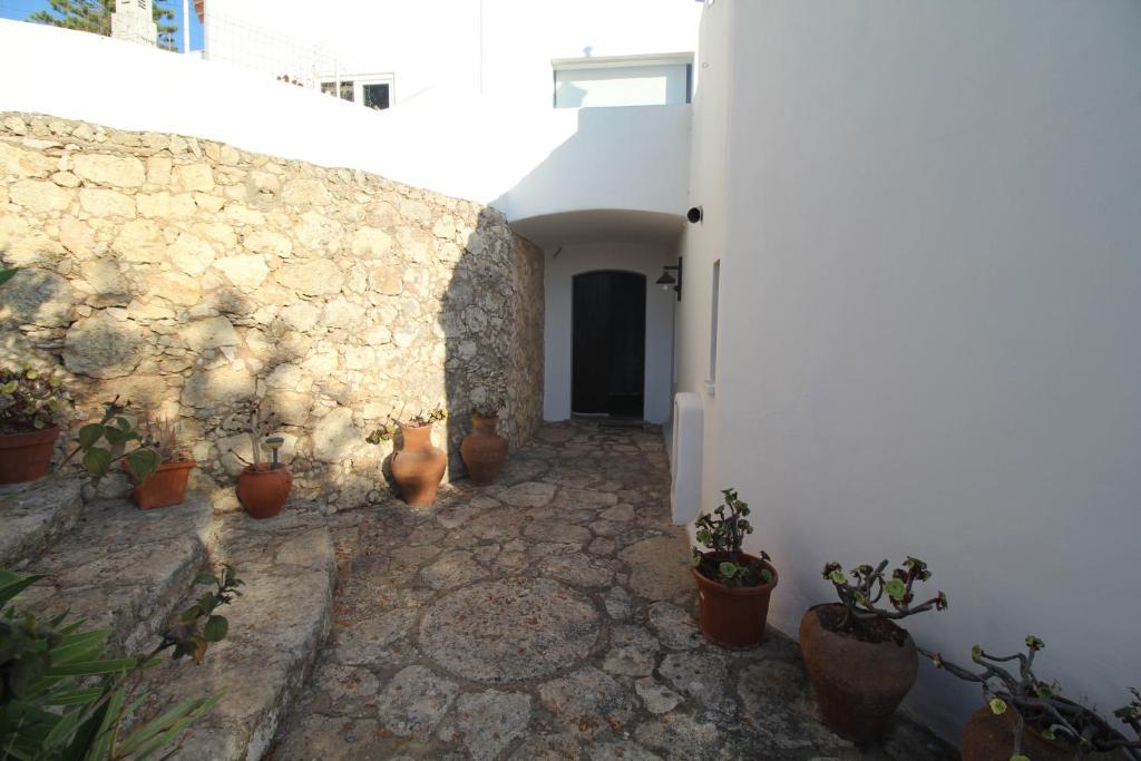 a hallway with potted plants on the side of a building at Casa do Milho in Carvoeiro