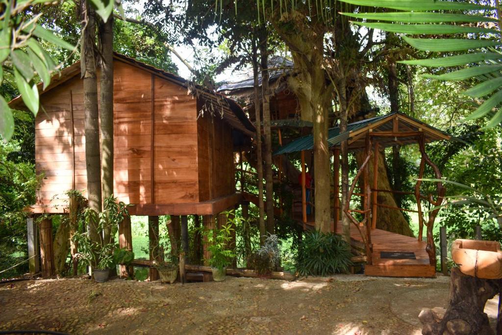 Zahrada ubytování Kumbuk Tree House