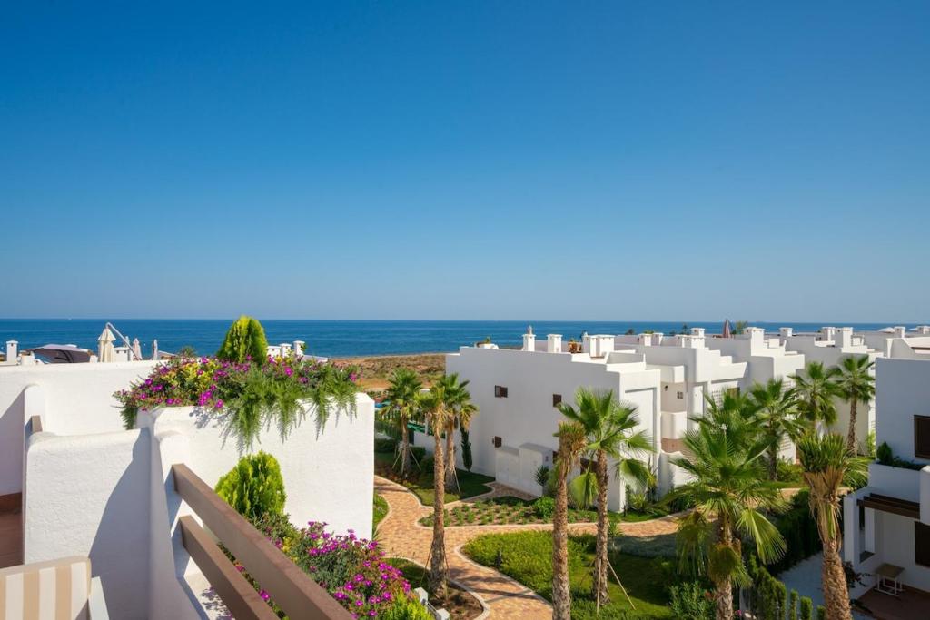 Uva, San Juan de los Terreros – Precios actualizados 2022