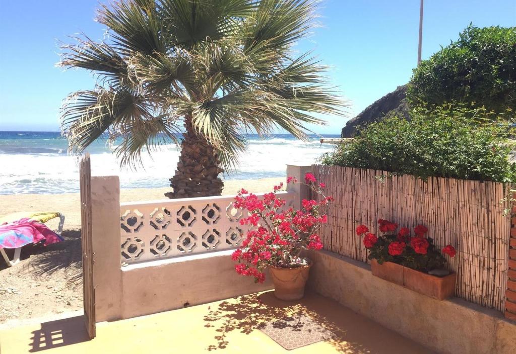 une clôture avec des fleurs et un palmier sur la plage dans l'établissement Beach House in Puntas de Calnegre, à Mazarrón