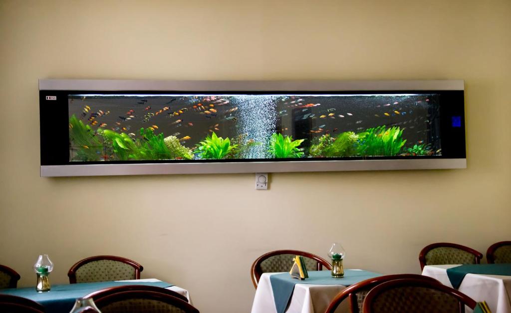 Hotel Brasov - Resim 28