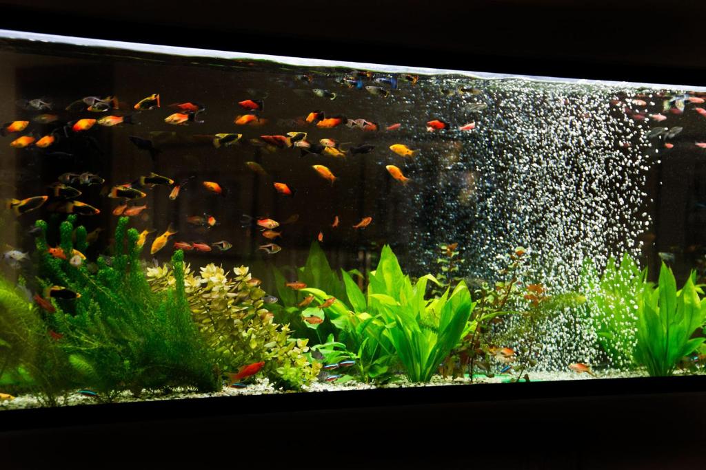 Hotel Brasov - Resim 27