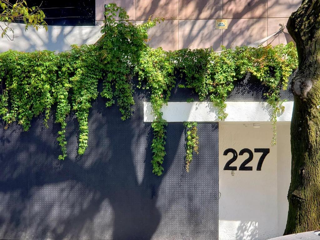 una pared con una hiedra verde creciendo en ella en Hotel Singular Goldsmith, en Ciudad de México