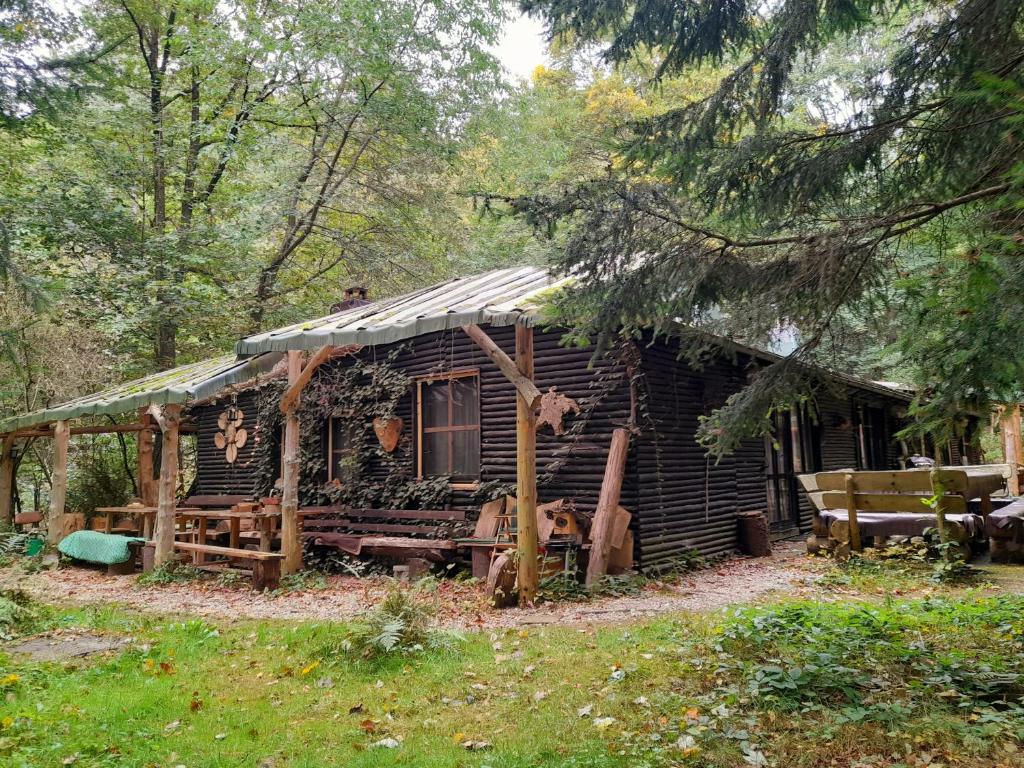 una vieja cabaña de madera en medio de un bosque en Das wilde Auwaldhaus, en Bertsdorf