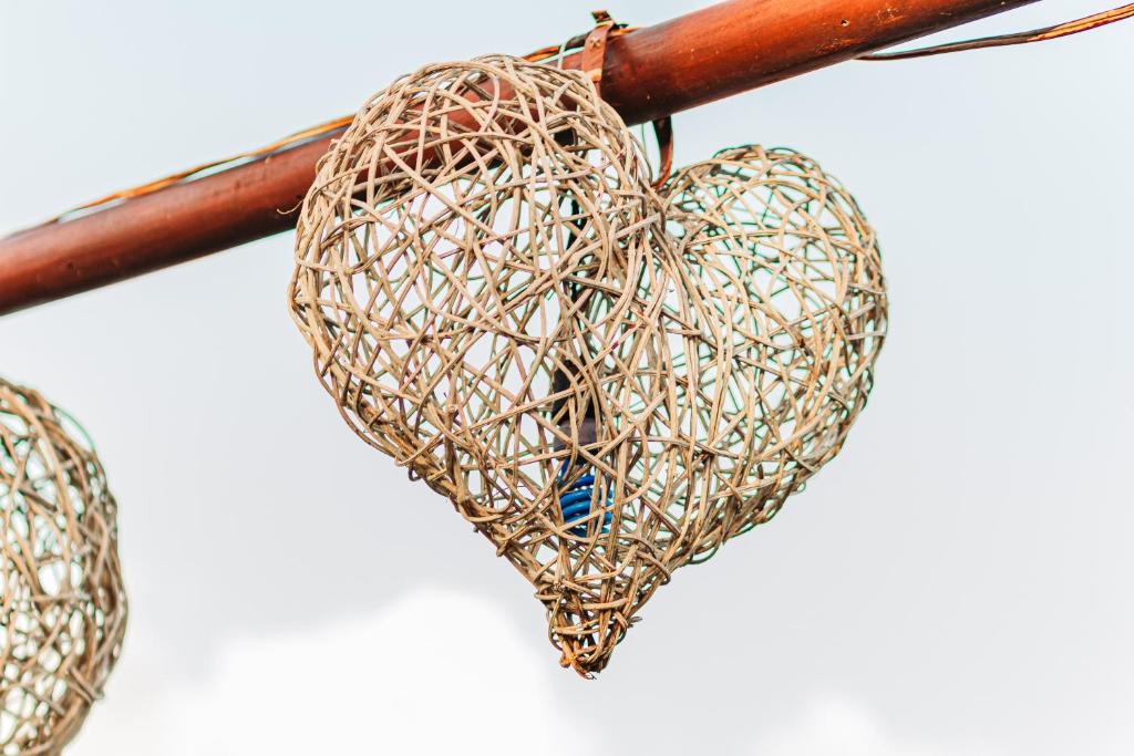 Fotografie z fotogalerie ubytování Blue Bird v destinaci Bacalar