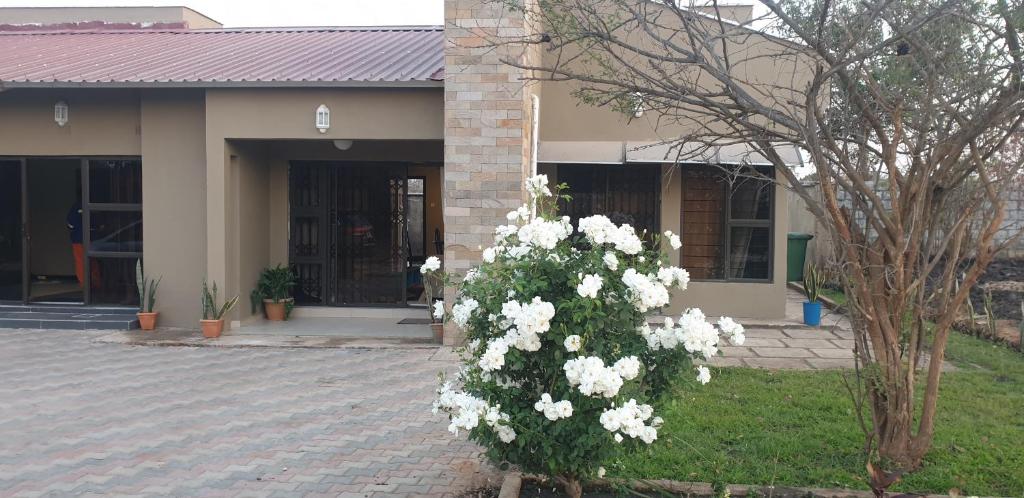 a bush of white flowers in front of a building at Villa Lombe, Off Great East Road, Silverest 