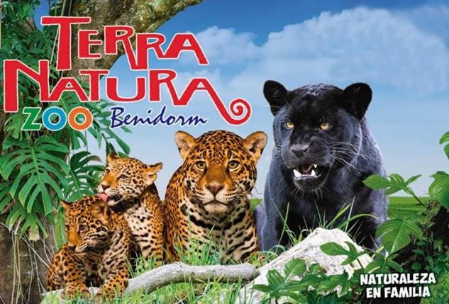 Zvířata v apartmánu nebo okolí
