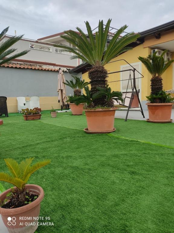 Zahrada ubytování Hotel Stefany