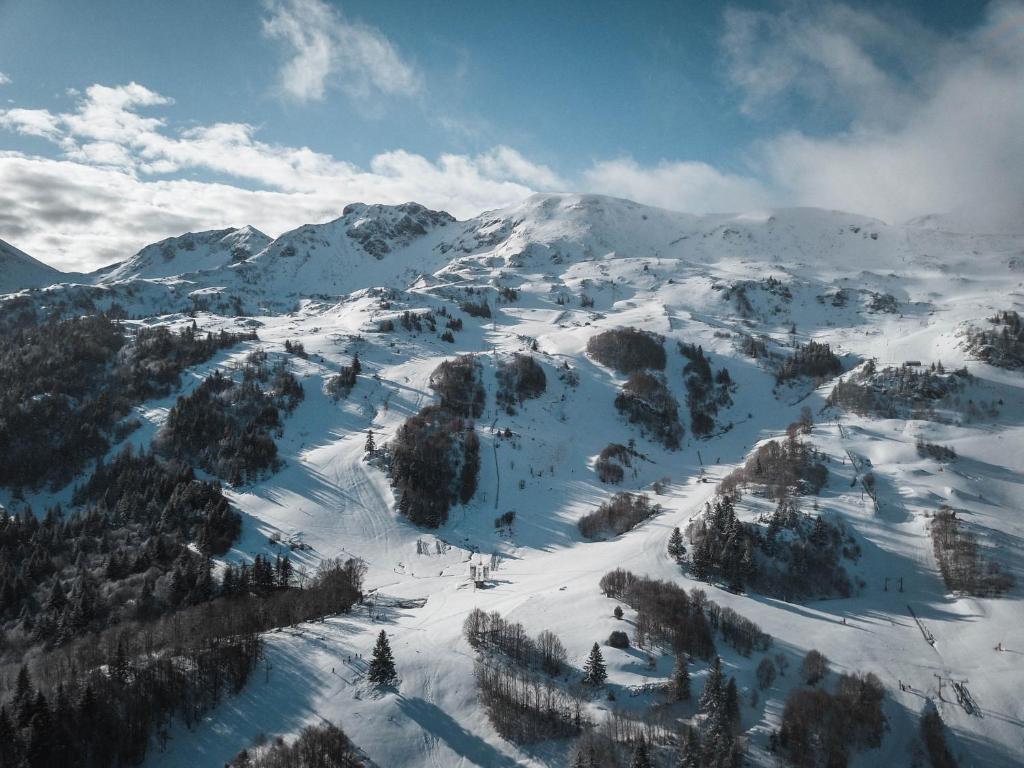 a mountain covered in snow with trees on it at Appartement au pied des Pistes de Ski - Pyrénées (Ariège) in Montferrier