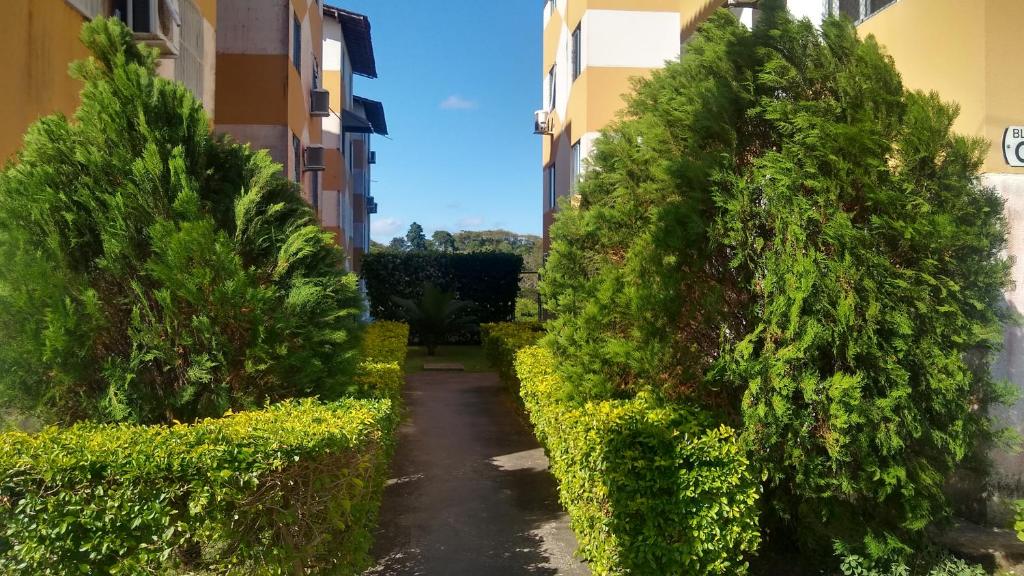 una calle entre dos edificios con arbustos verdes en Residencial Iracema Rua Atila Brandão, bairro Serraria, en Maceió