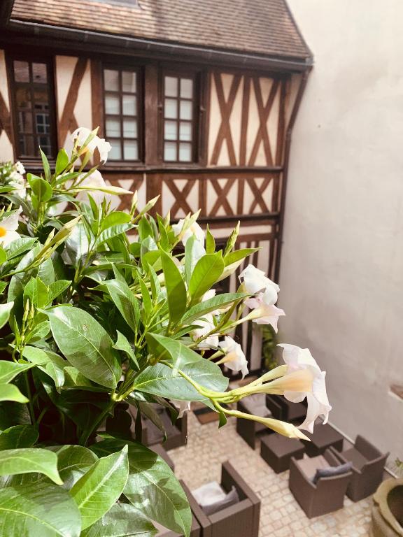 Zahrada ubytování Maison Philippe Le Bon Hôtel, Restaurant & Bar le 19