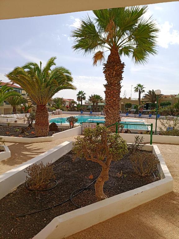 Bazén v ubytovaní Las Torres Del Castillo-120 Palms alebo v jeho blízkosti