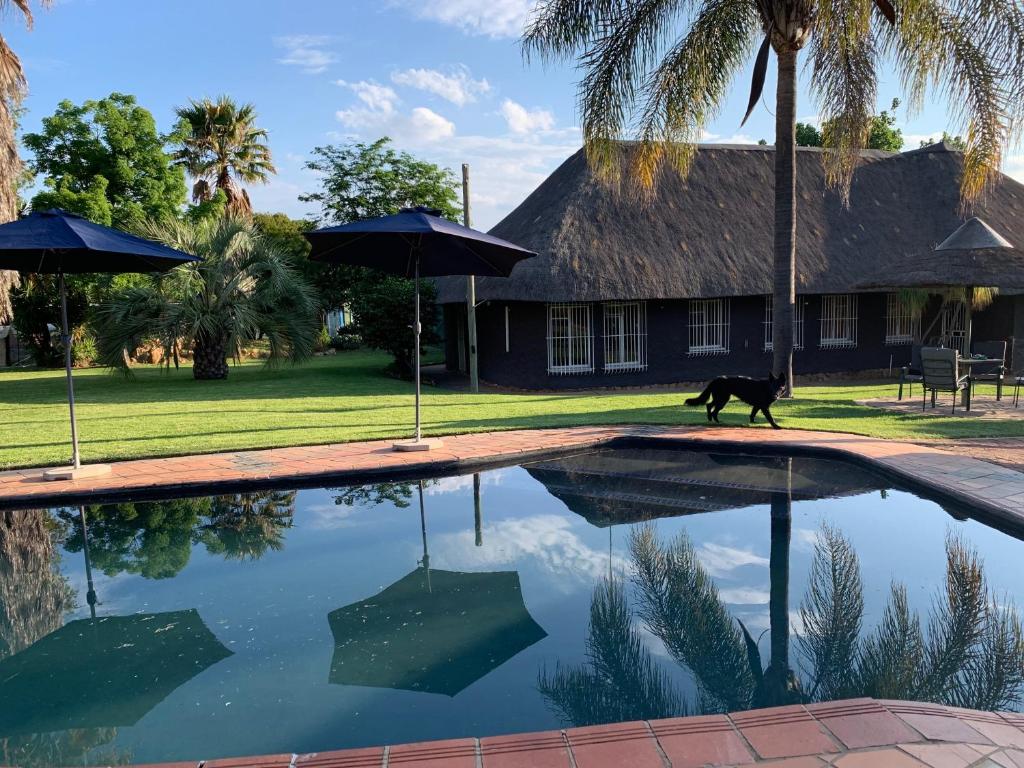 um cão a passear ao lado de uma piscina em Sunset Cottages at Viva Connect, Cullinan em Meule