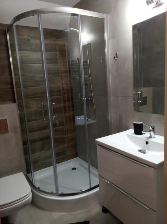 Kúpeľňa v ubytovaní Apartamenty Świstak Maciej Dunajczan