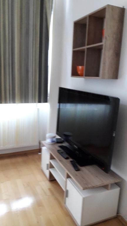 Televízia a/alebo spoločenská miestnosť v ubytovaní Apartments Keinergasse 18-contactless check-in!