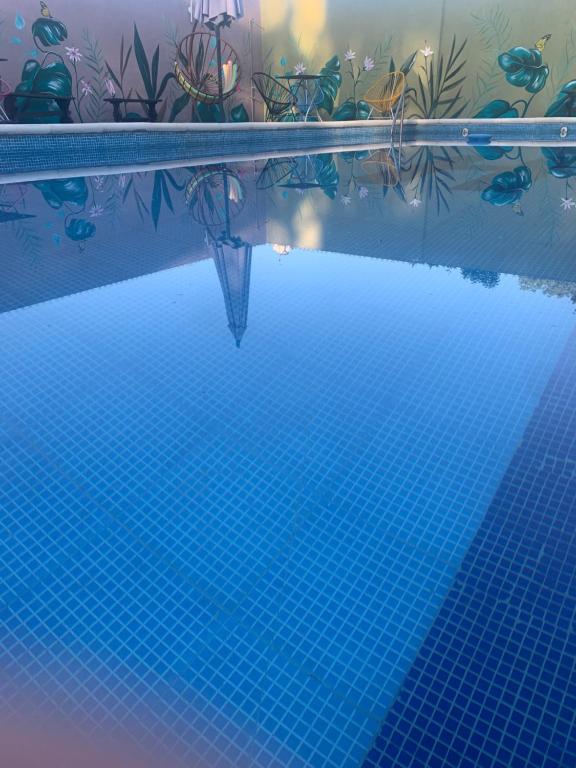 uma piscina com água azul e plantas sobre ela em Lujan Homes em Luján