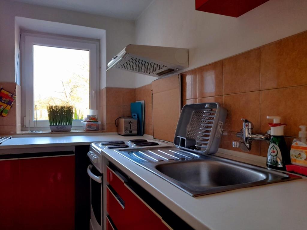 Kuchyň nebo kuchyňský kout v ubytování Apartmán U Máslů
