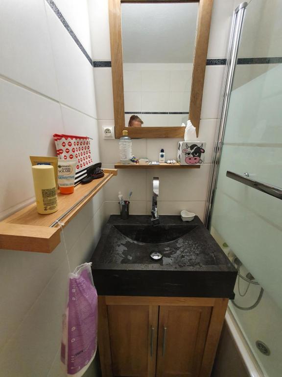 Kuchyň nebo kuchyňský kout v ubytování 2 pièce cabine Val Thorens