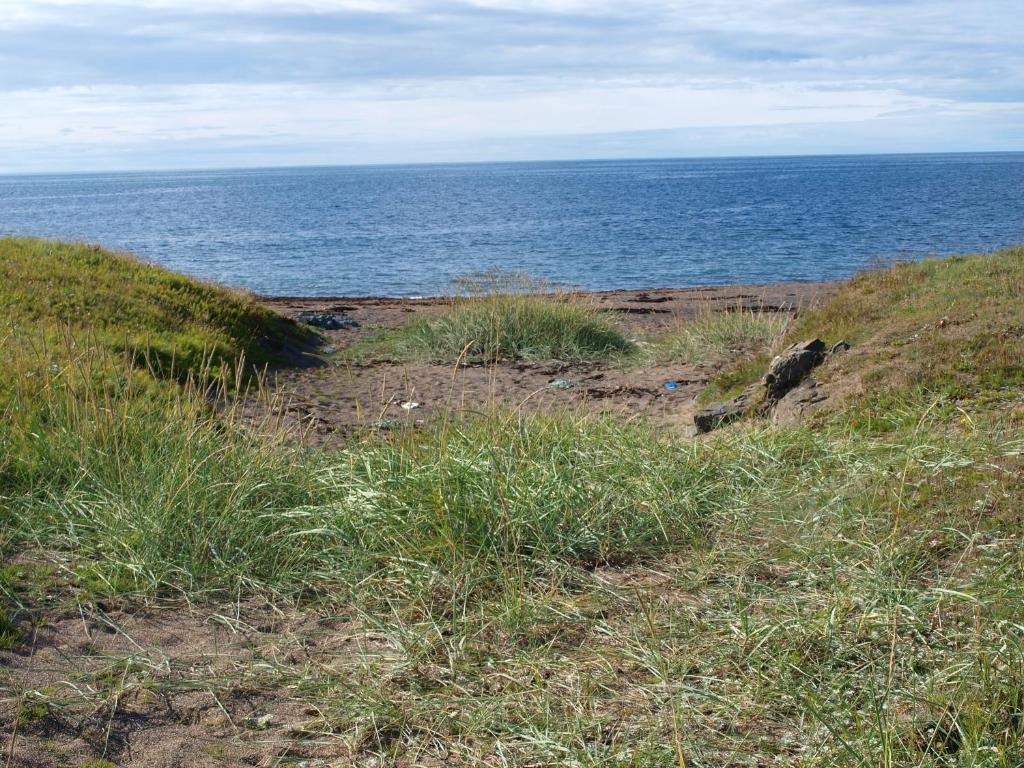 Paesaggio naturale nelle vicinanze dell'affittacamere