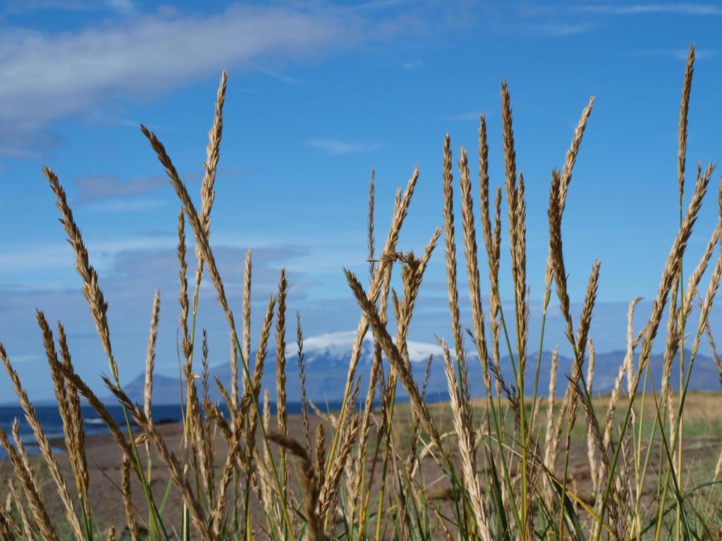 Paesaggio naturale nelle vicinanze dell'affittacamere