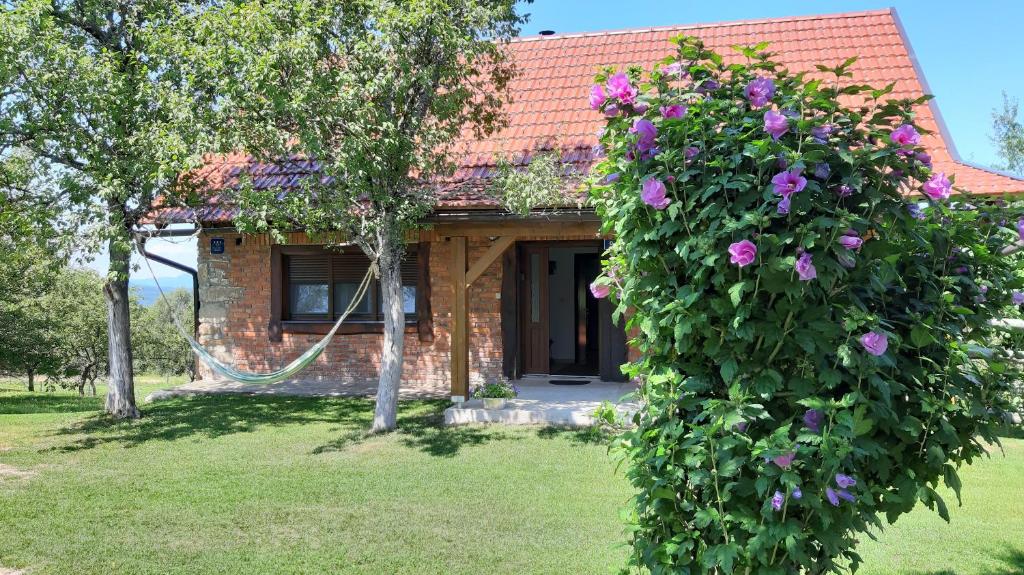 Zahrada ubytování Holiday Home "Sleme" with jacuzzi, big garden and arbor with fireplace