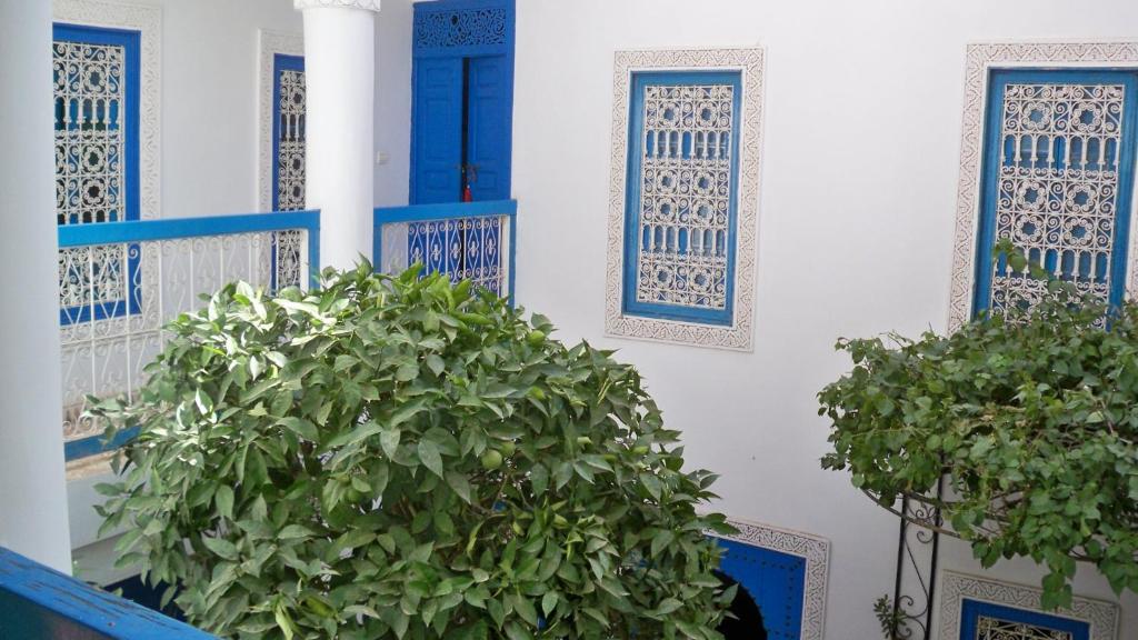 two plants in front of a white building with blue windows at Dar Sarah-Marrakech, riad authentique idéalement situé. in Marrakesh