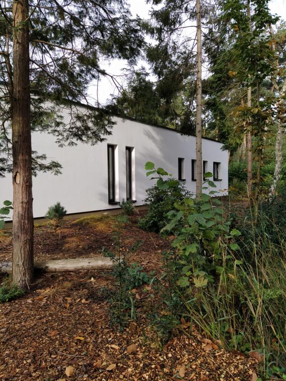 Aed väljaspool majutusasutust B&B Altijd Zomer