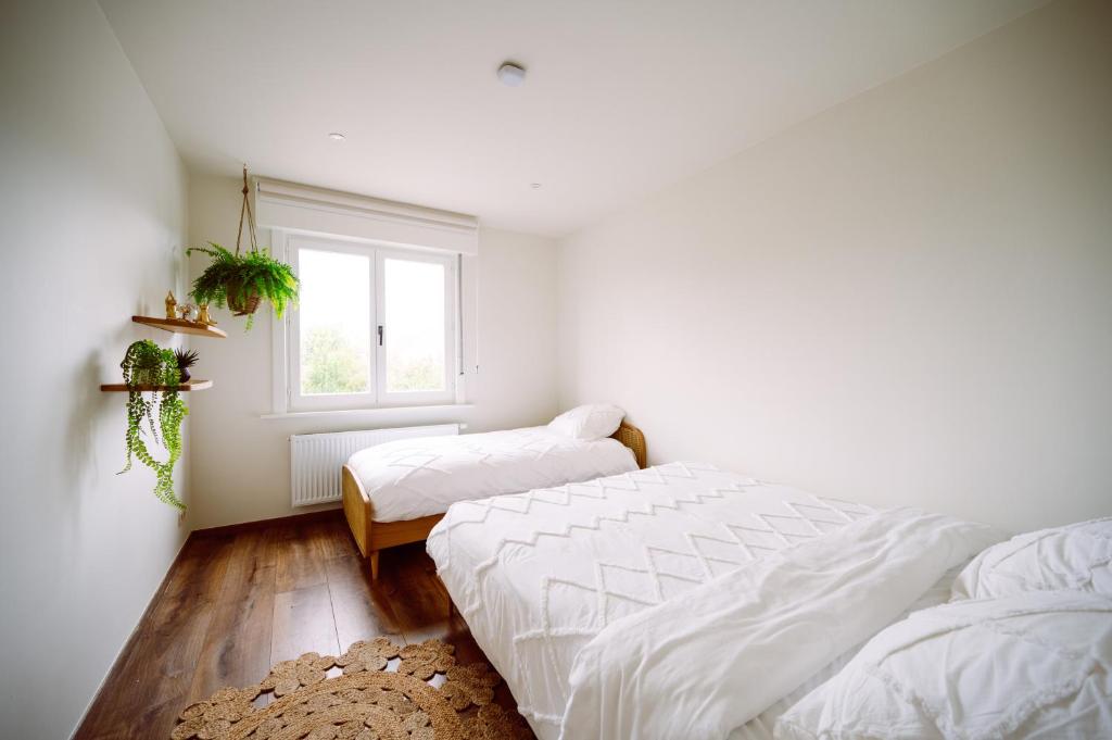 a bedroom with two beds and a window at Beautiful house with HOTTUB near SEA and BRUGES in De Haan