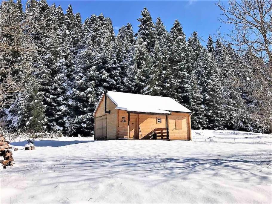 Gallery image of Wood Cabin by the River - for Nature Lovers in Vytina