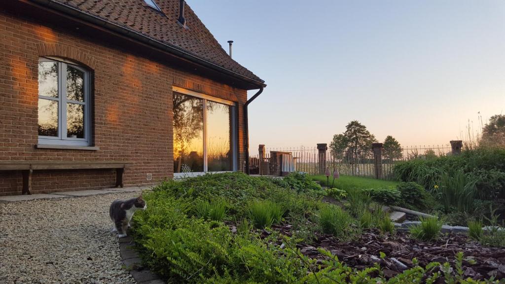 Zahrada ubytování B&B Col del vino