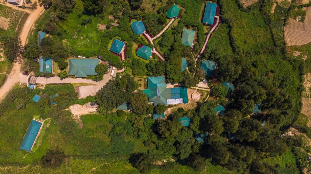 an aerial view of a house in a forest at Gorilla Safari Lodge in Rubuguli