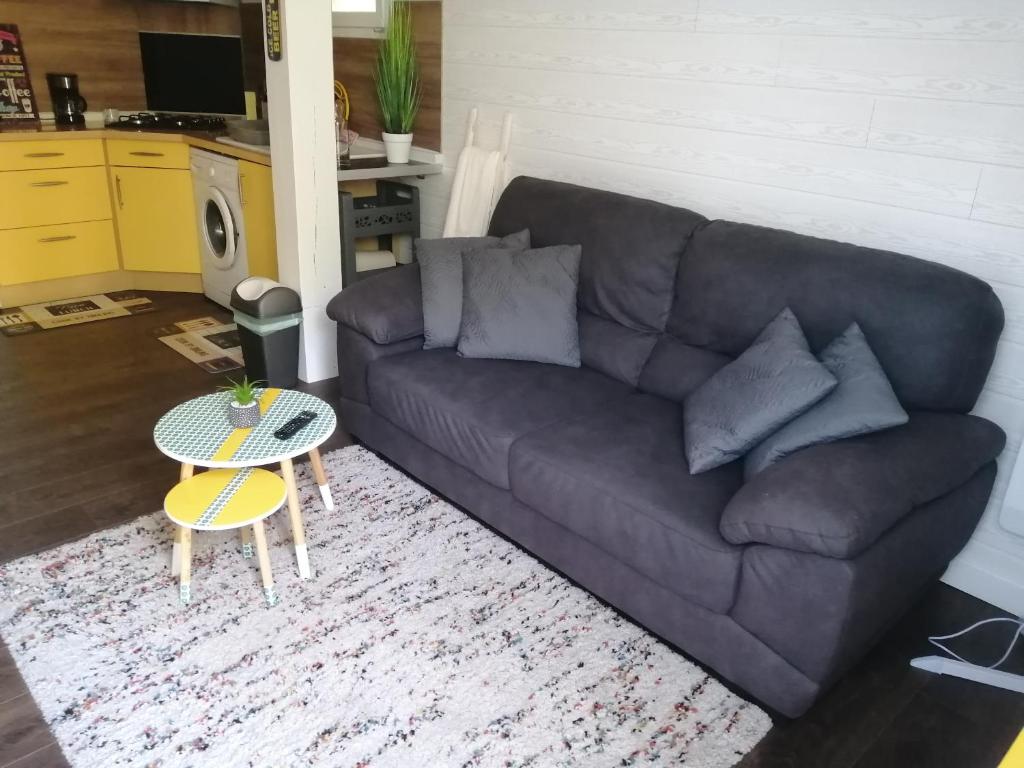 ein Wohnzimmer mit einem Sofa und einem Tisch in der Unterkunft Petite habitation meublée in Biganos