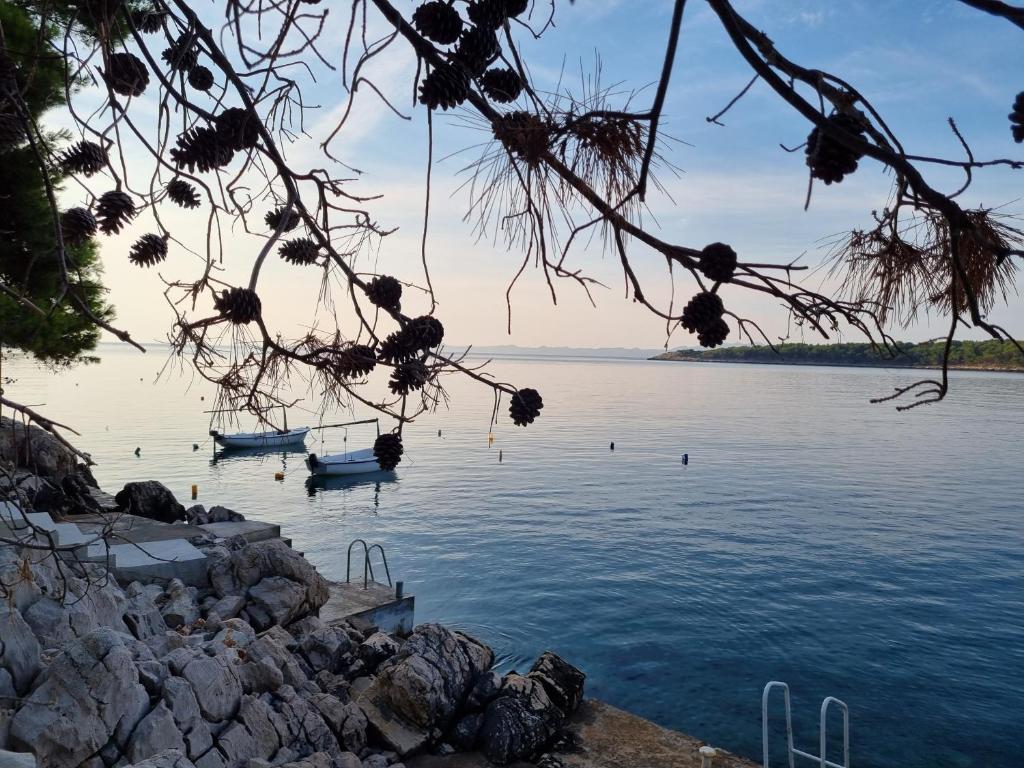 Zdjęcie z galerii obiektu Holiday Home Prišćapac w mieście Prižba