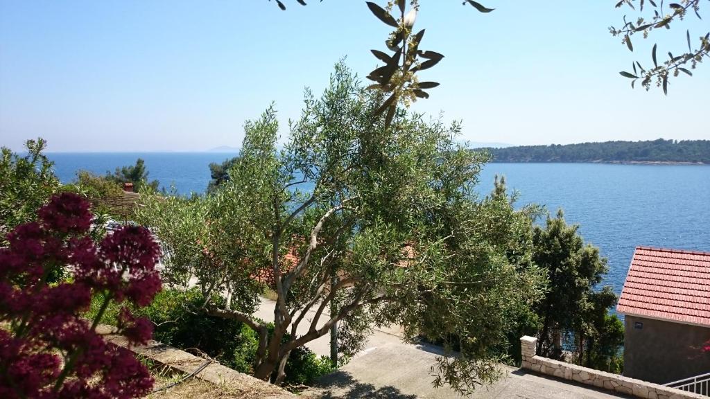 Zdjęcie z galerii obiektu Holiday Home Prišćapac w mieście Prižba
