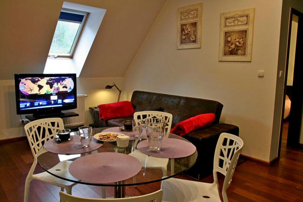 Televízia a/alebo spoločenská miestnosť v ubytovaní ApartSerwis - Gorące Źródła Apartament Lodowa Kopa 2