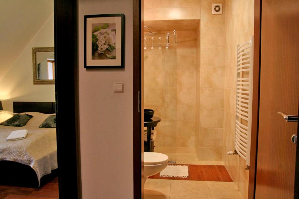 Kúpeľňa v ubytovaní ApartSerwis - Gorące Źródła Apartament Lodowa Kopa 2